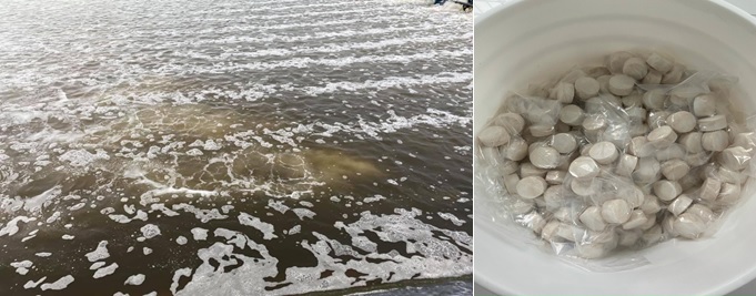 Nước ao tôm sau cơn mưa kéo dài Nước ao tôm sau cơn mưa kéo dài