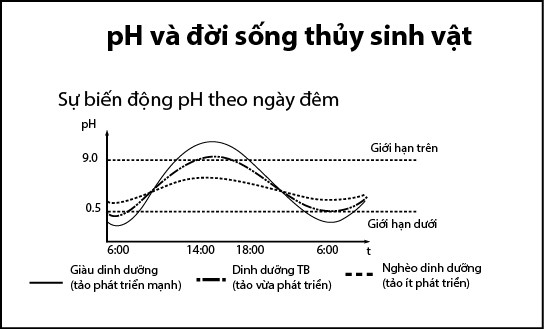 pH trong quản lý nước ao nuôi:
