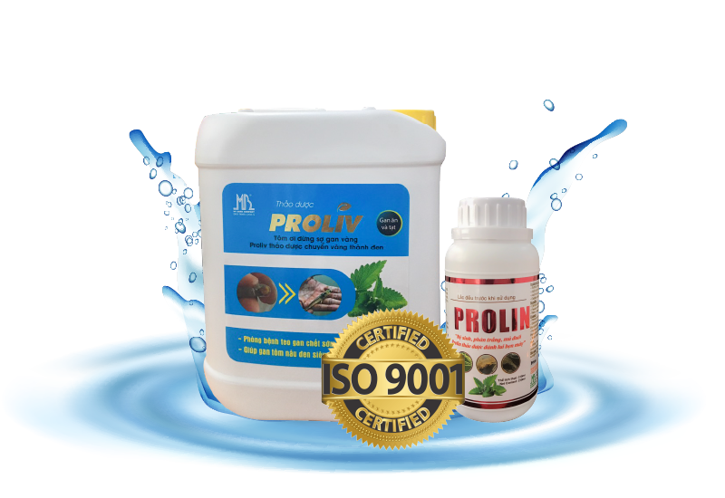 Thảo dược PROLIV và PROLIN giúp gan tôm nâu đen, xổ ký sinh trùng và các bệnh đường ruột cho tôm Thảo dược PROLIV và PROLIN giúp gan tôm nâu đen, xổ ký sinh trùng và các bệnh đường ruột cho tôm