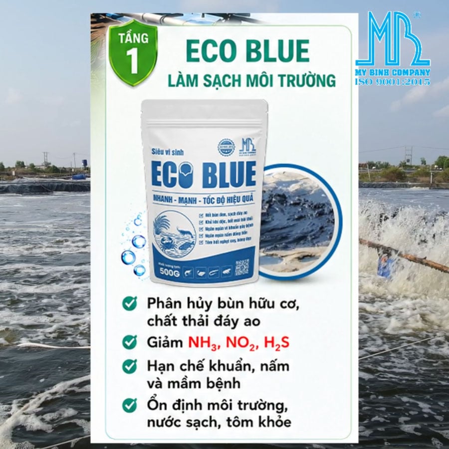 ECO BLUE - Ổn định môi trường, xử lý bùn đáy, giảm khí độc, khử mùi hôi, ức chế nấm đồng tiền