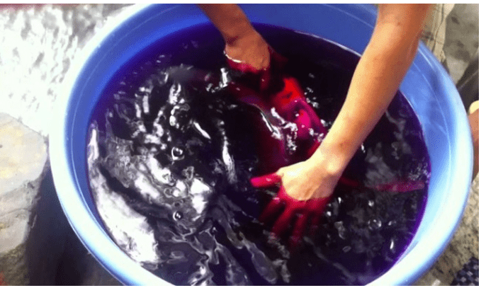 phòng bệnh đốm trắng trên cá cảnh