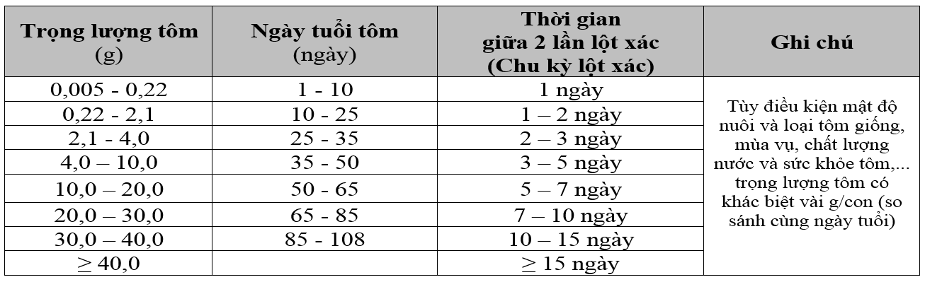 Molting time of white-leg shrimp