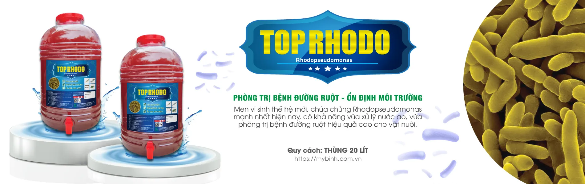 Tăng sức đề kháng cho tôm, chống chọi mọi bệnh tật