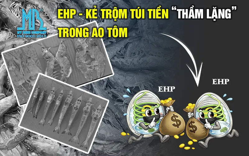 EHP - Kẻ Trộm Túi Tiền Thầm Lặng Trong Ao Tôm: Cách Nhận Biết Và Xử Lý