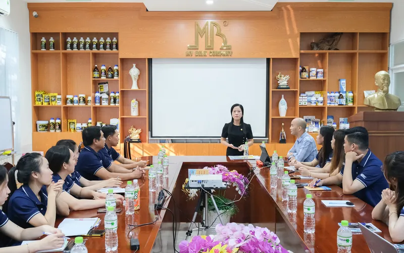 Khóa đào tạo trực tiếp tại DNNVV: Hành trình giúp định hình tương lai cho doanh nghiệp Cần Thơ