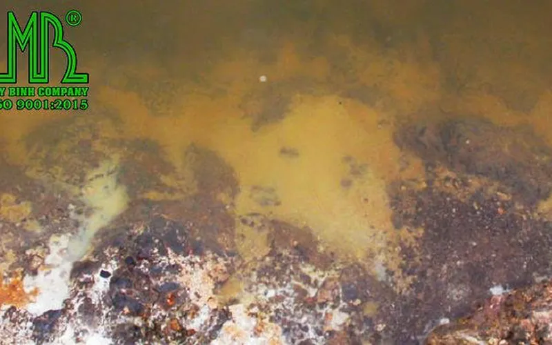 Cách xử lý phèn trong ao nuôi tôm an toàn