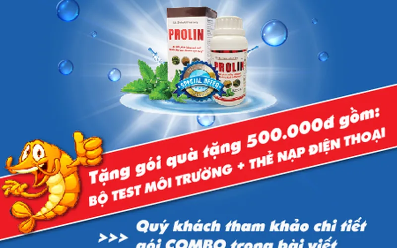 Chương trình khuyến mãi tháng 8 bổ sung RINH COMBO PROLIN - NHẬN COMBO QUÀ TẶNG