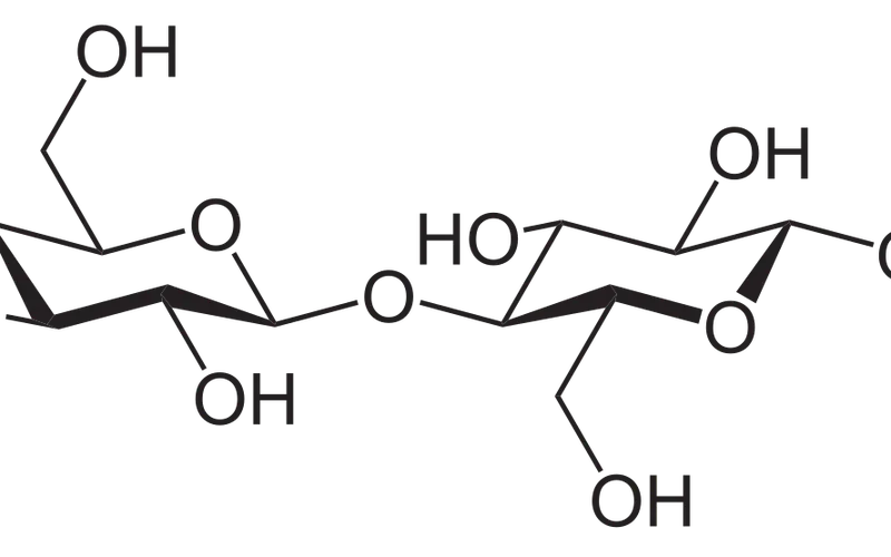 Ứng dụng của Beta Glucan đối với hệ miễn dịch của tôm