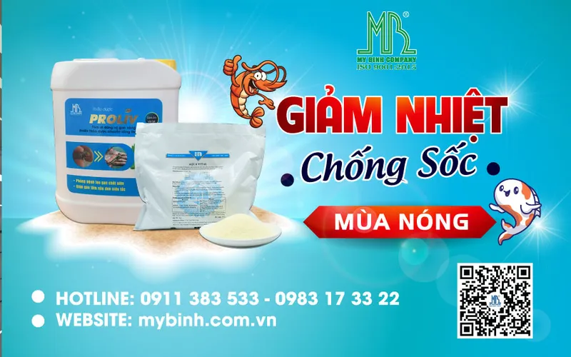 Giải pháp giảm nhiệt chống sốc cho tôm mùa nắng nóng