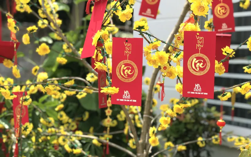 Công ty Mỹ Bình khai trương năm mới