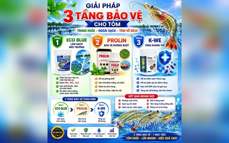 Giải Pháp 3 Tầng Bảo Vệ Cho Tôm Mùa Mưa | Giúp Tôm Khỏe, Lớn Nhanh, Giảm Hao Hụt
