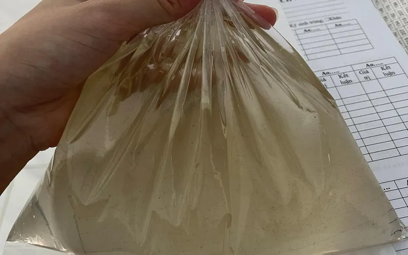 Cách khắc phục độ kiềm thấp trong ao tôm - Chẩn đoán từ phòng xét nghiệm của Mỹ Bình