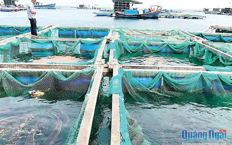Phập phồng vụ thủy sản mới