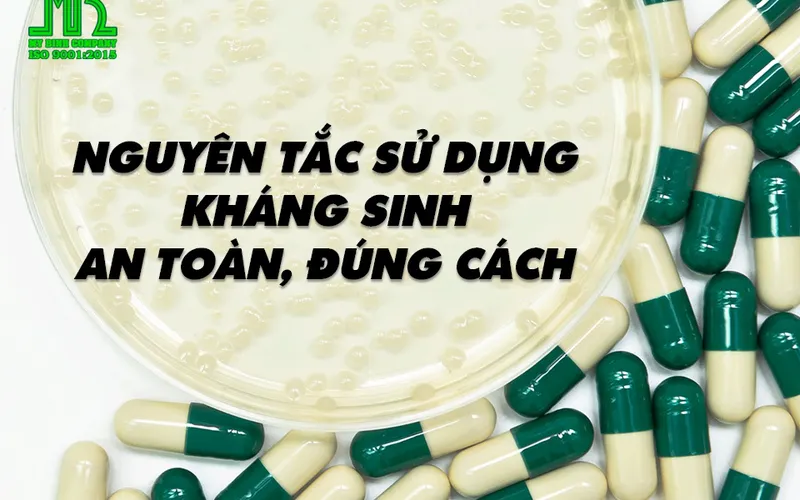 Nguyên tắc sử dụng kháng sinh trong nuôi tôm an toàn, đúng cách
