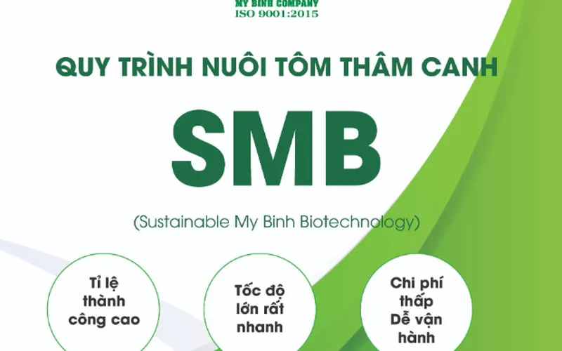 Quy trình nuôi tôm thâm canh SMB