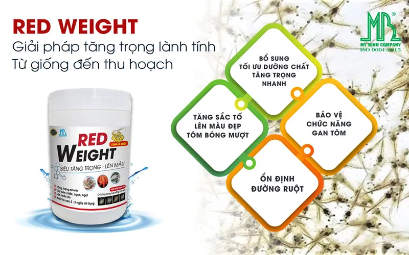 RED WEIGHT – Giải pháp tăng trọng lành tính cho tôm: Từ giống đến thu hoạch, yên tâm cả vụ nuôi