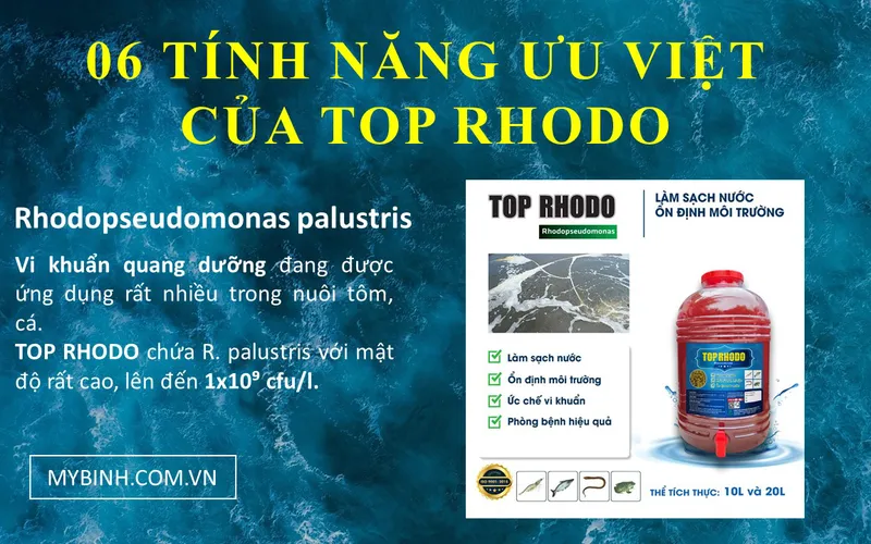 06 Lý Do Nên Chọn TOP RHODO Cho Ao Nuôi Tôm, Cá