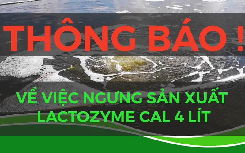 Thông báo ngừng sản xuất Lactozyme 4 lít