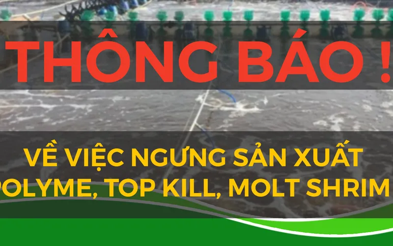 Thông báo ngừng sản xuất polyme, Top Kill, Molt Shrimp