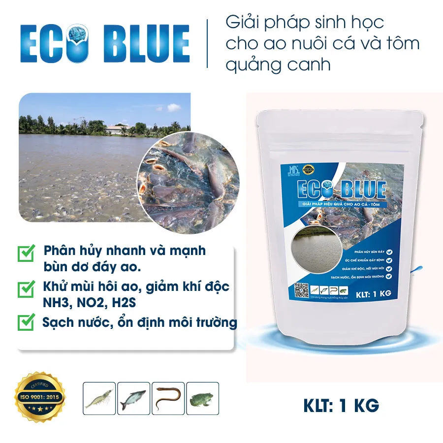 Avstriyadagi jinsiy aloqa kabinalaridan videolar