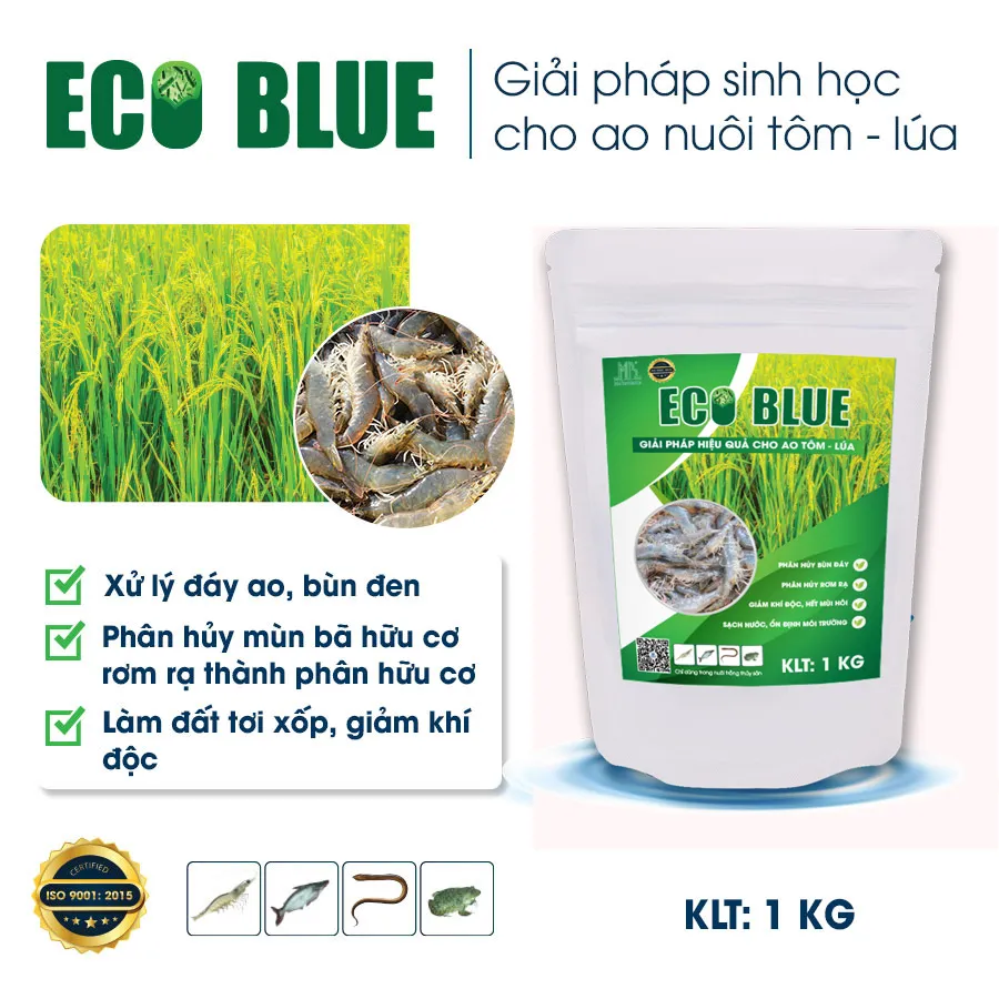 ECO BLUE – A Biological Solution for the Rice–Shrimp Farming Model