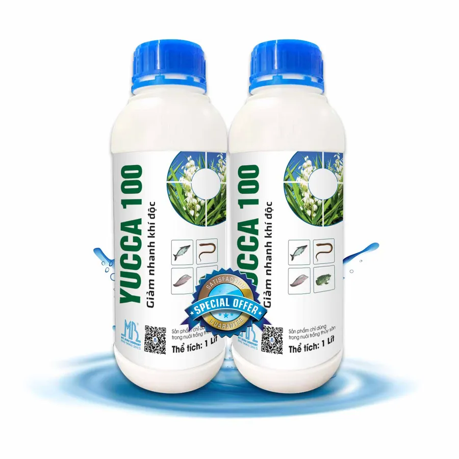YUCCA 100 - Hấp thu khí độc cực nhanh trong ao nuôi cá