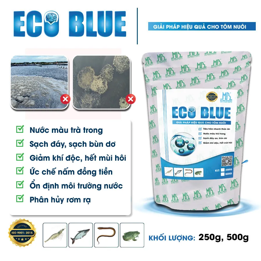 ECO BLUE - Ổn định môi trường, xử lý bùn đáy, giảm khí độc, khử mùi hôi, ức chế nấm đồng tiền
