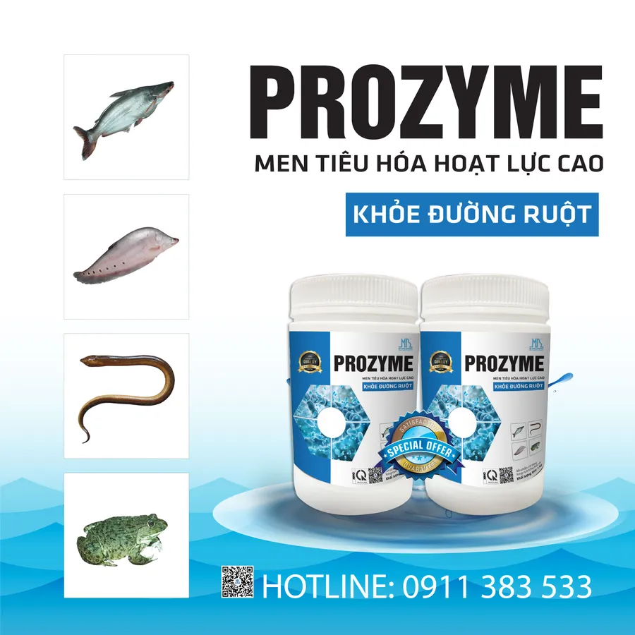 PROZYME - Giúp cá tiêu hóa nhanh, phòng bệnh đường ruột