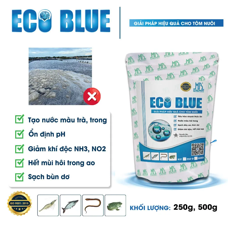ECO BLUE - Ổn định môi trường, xử lý bùn đáy, giảm khí độc, khử mùi hôi