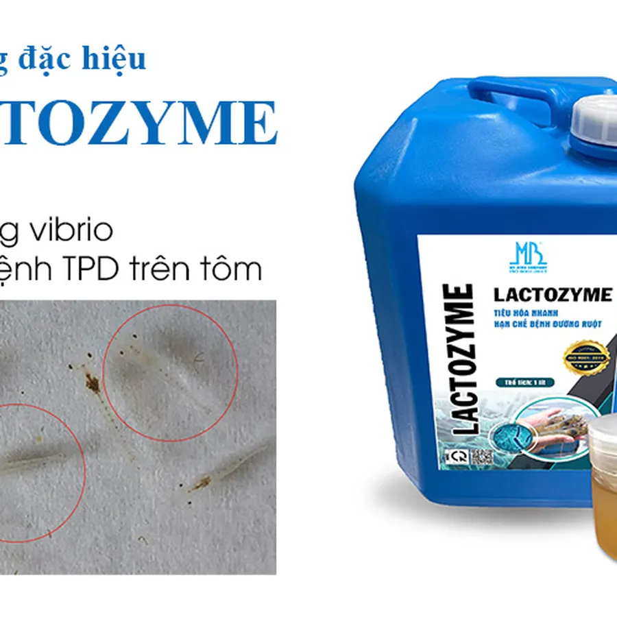 LACTOZYME - Men sống đối kháng vibrio, phòng bệnh TPD, teo gan trống ruột