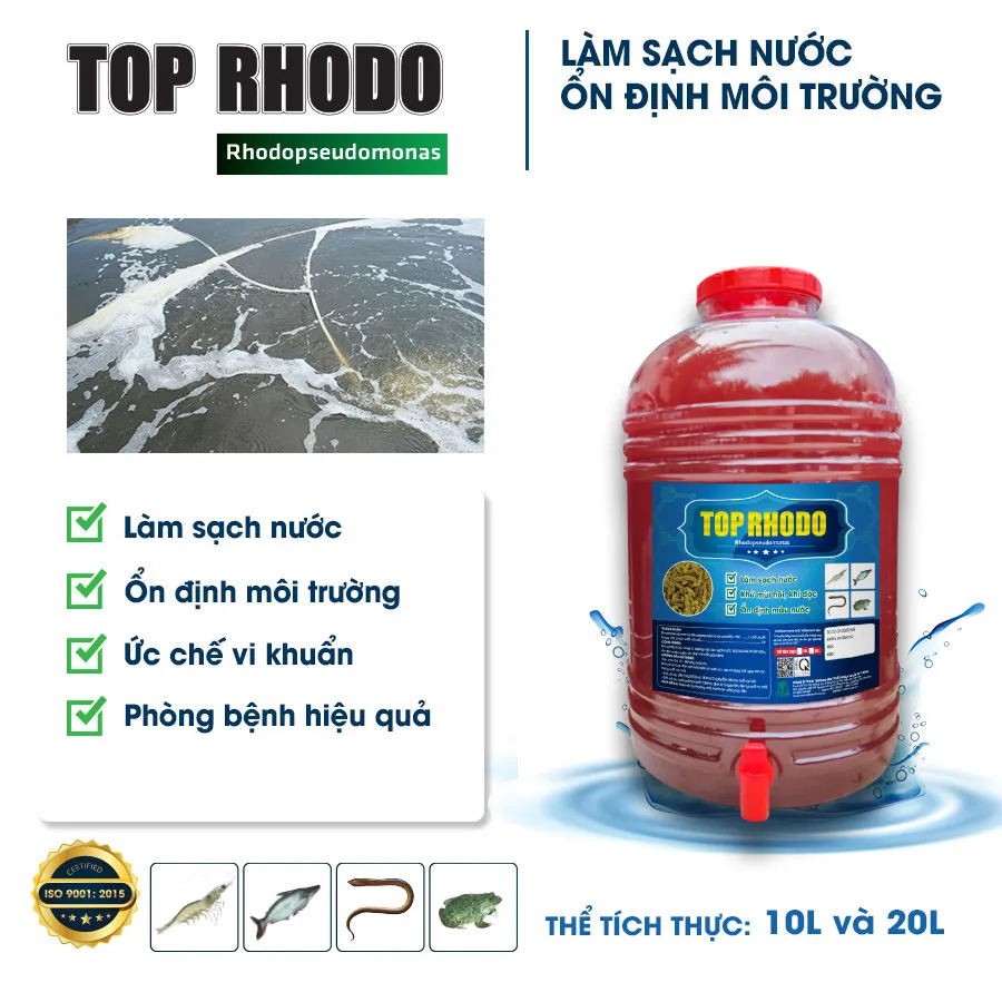 TOP RHODO - Shrimp farming water cleaner, Water color stabilizer for shrimp ponds, Inhibit harmful bacteria in shrimp ponds