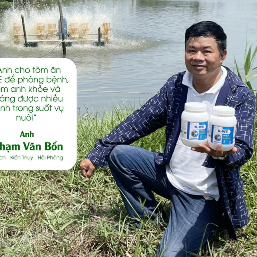 K-WE - Không lo tôm bị đốm trắng, đỏ thân, teo gan chết sớm