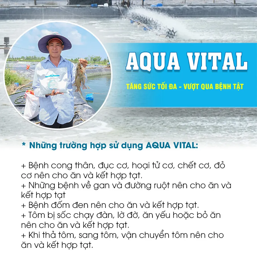 AQUA VITAL - "Vua" tăng sức đề kháng, chống chọi mọi bệnh tật