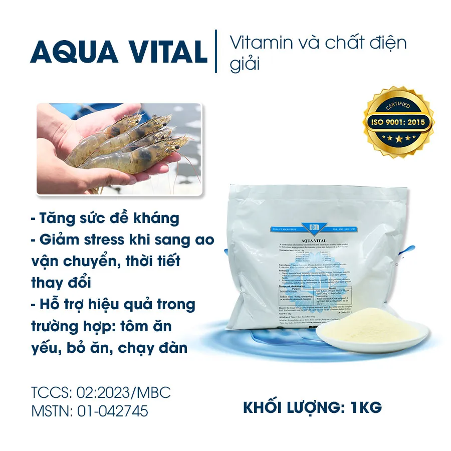 AQUA VITAL - "Vua" tăng sức đề kháng, chống chọi mọi bệnh tật