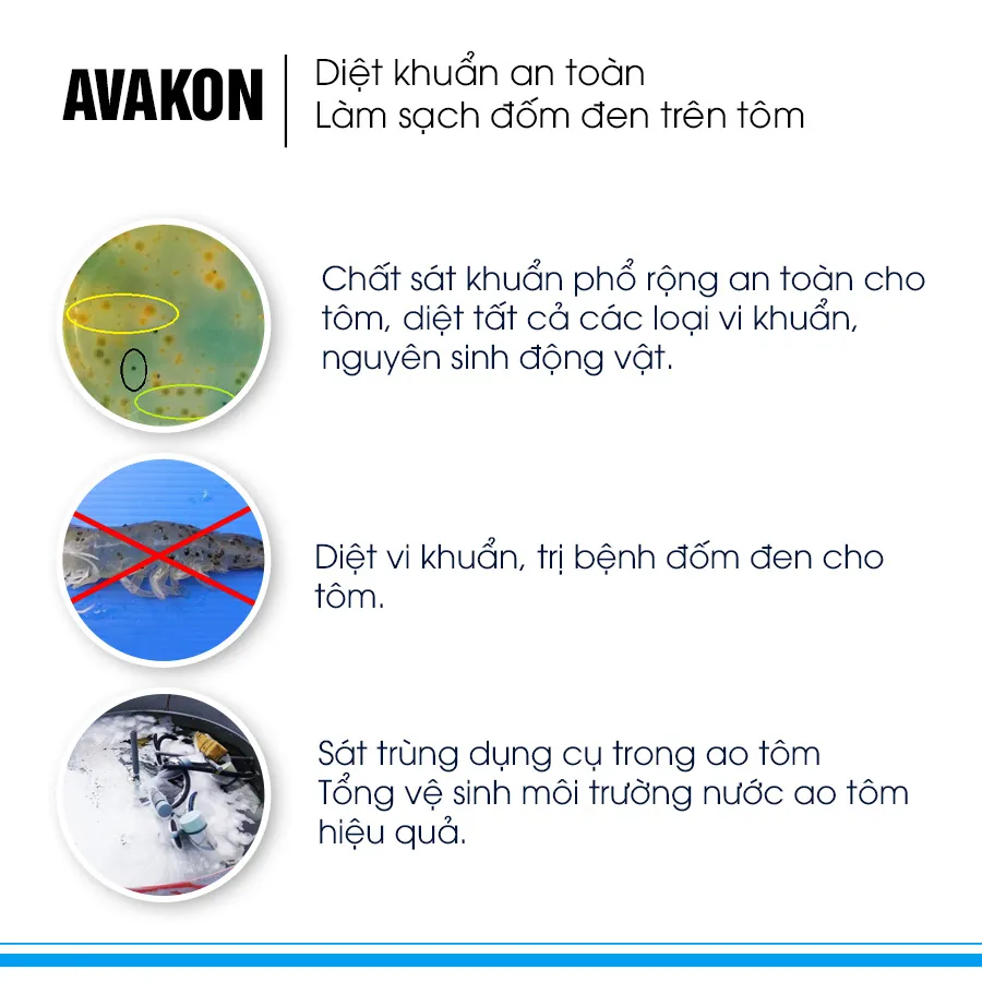 AVAKON - Diệt khuẩn, làm sạch đốm đen cho tôm