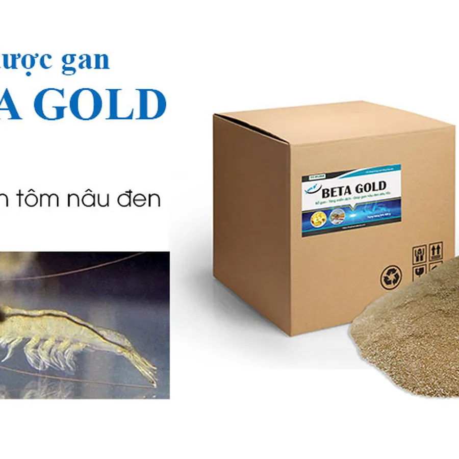 Thảo dược gan BETA GOLD - Giúp gan tôm nâu đen siêu tốc