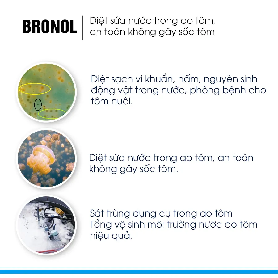 BRONOL - Diệt khuẩn, nấm, nguyên sinh động vật trong ao nuôi tôm
