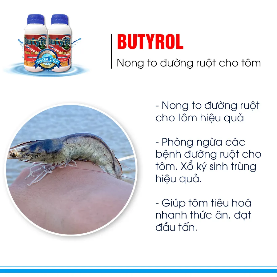 BUTYROL - Nong to đường ruột tôm