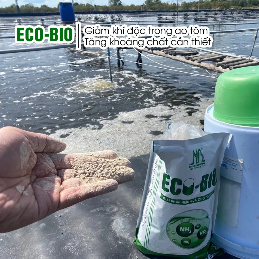 ECO BIO - Giảm nhanh khí độc trong ao nuôi, tăng khoáng chất cần thiết cho tôm