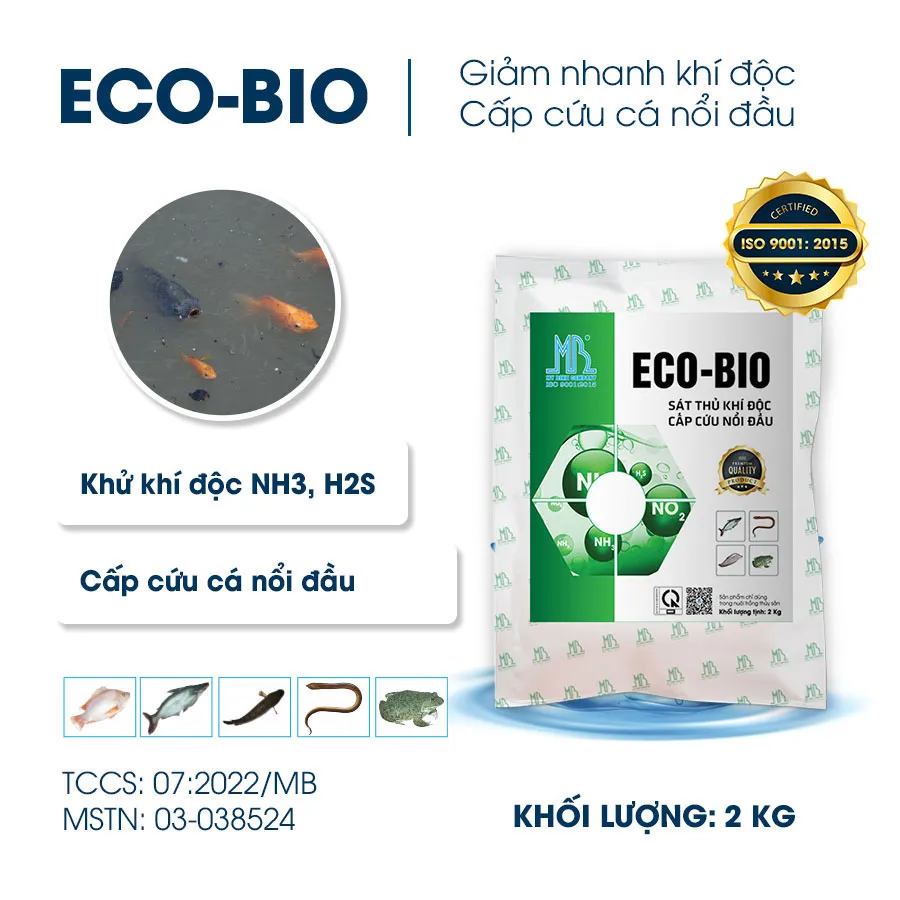 ECO BIO - Sát thủ chống khí độc trong ao cá, cấp cứu cá nổi đầu