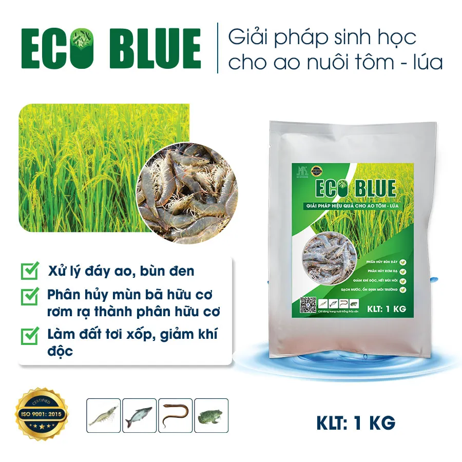 ECO BLUE – A Biological Solution for the Rice–Shrimp Farming Model