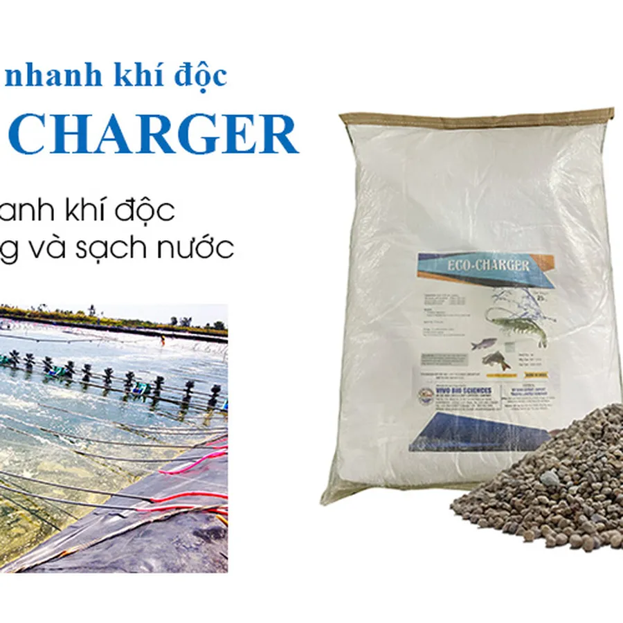ECO CHARGER - Giảm nhanh khí độc, làm trong và sạch nước