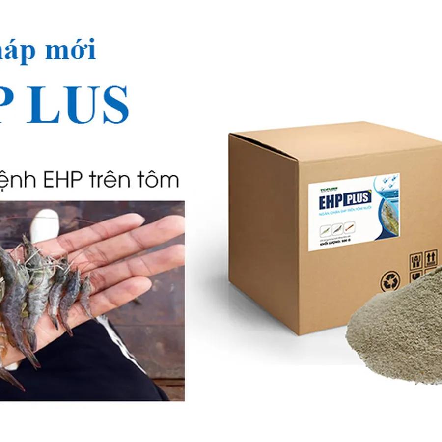 EHP PLUS - Giải pháp phòng trị bệnh ehp trên tôm