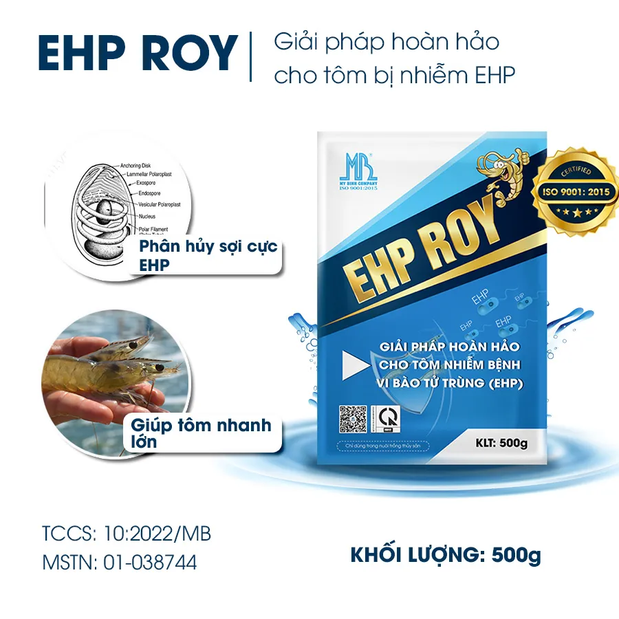 EHP ROY - Giải pháp vượt qua bệnh EHP tôm luôn khỏe mạnh tăng trọng nhanh