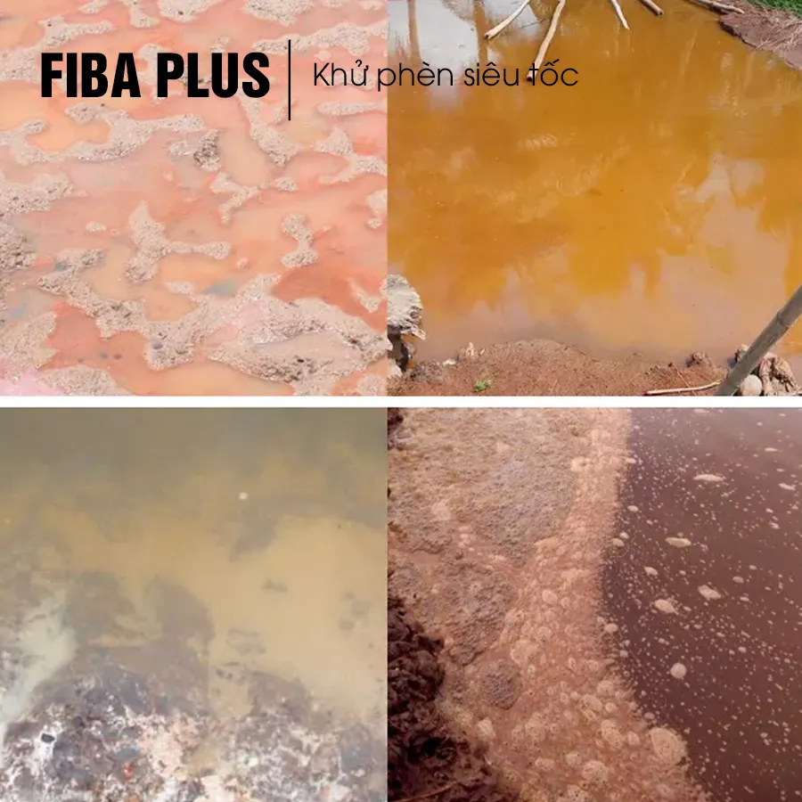 FIBA PLUS - Khử phèn siêu tốc cho ao tôm