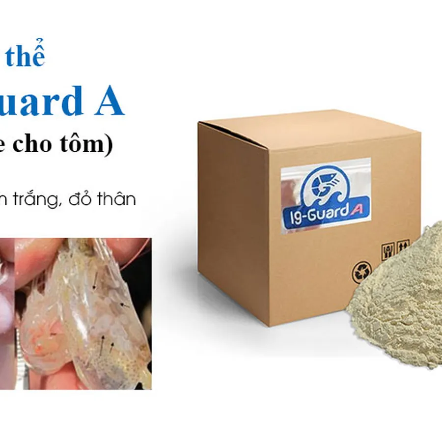 Ig-Guard A - Kháng thể phòng bệnh đốm trắng, đỏ thân trên tôm
