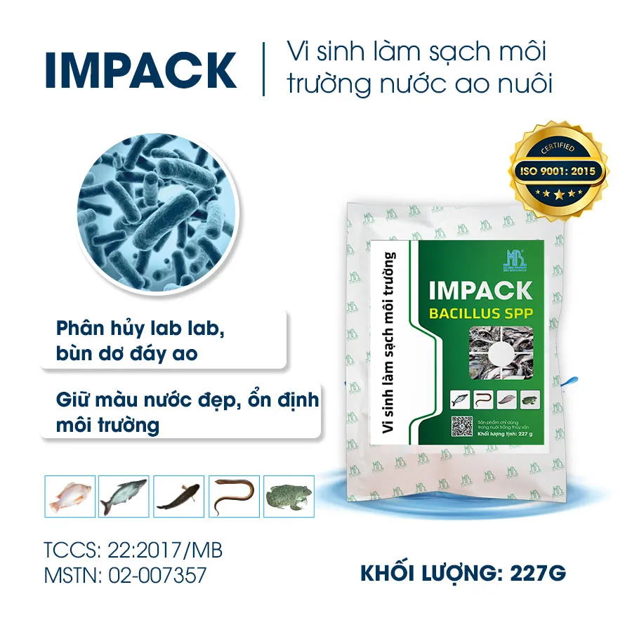 IMPACK - Men vi sinh xử lý nước ao cá
