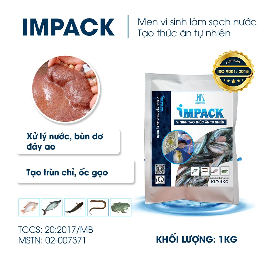 IMPACK - Men vi sinh xử lý nước ao, phân hủy bùn dơ, tạo thức ăn tự nhiên ao cá