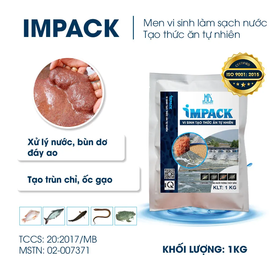 IMPACK - Men vi sinh xử lý nước ao, phân hủy bùn dơ, tạo thức ăn tự nhiên