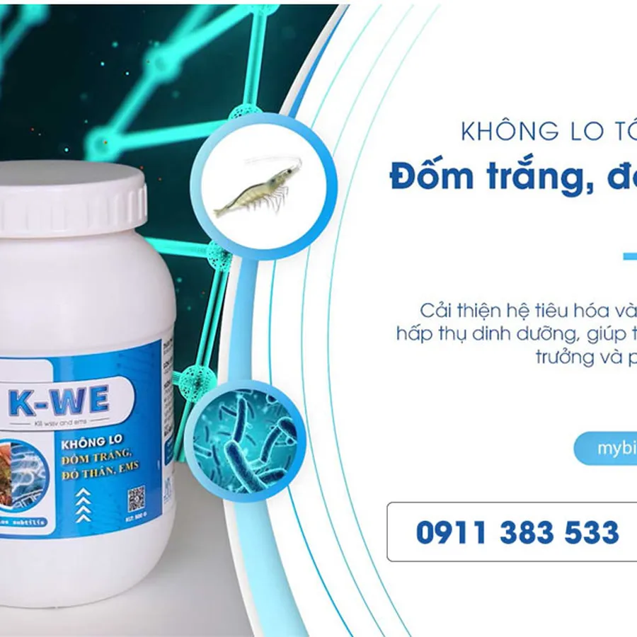 K-WE - Không lo tôm bị đốm trắng, đỏ thân, teo gan chết sớm